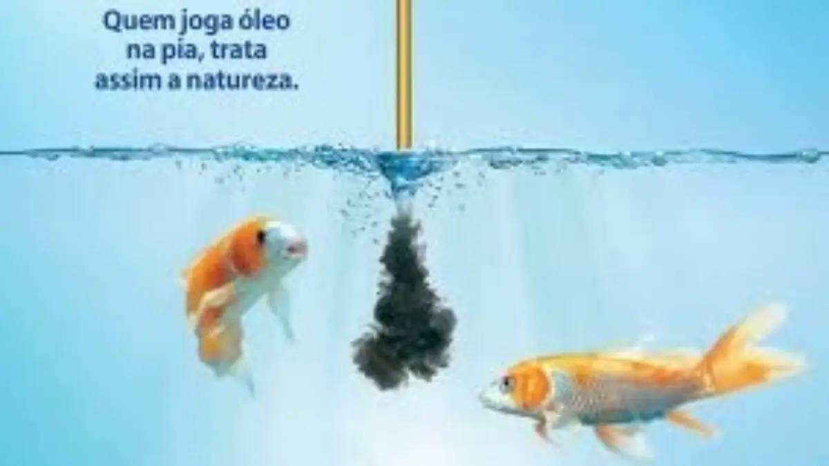 O que você faz com o óleo de cozinha utilizado?