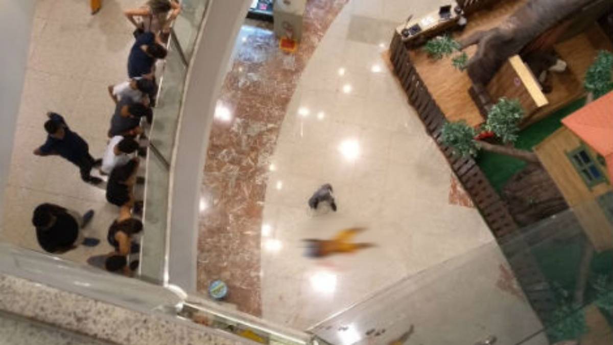 Homem morre após queda no Shopping RioMar em Fortaleza; caso é investigado
