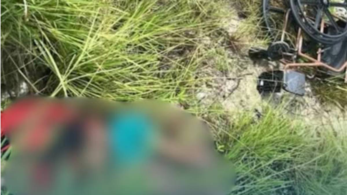 Cadeirante é encontrado morto com sinais de violência em área de mata na PE-001, em Paulista