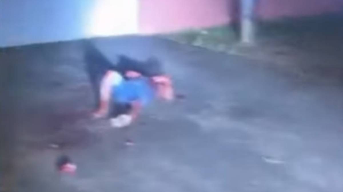 🚨 Idoso fica em estado grave após ataque de dois cães Pitbull em Carpina